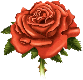 salut � tous le monde